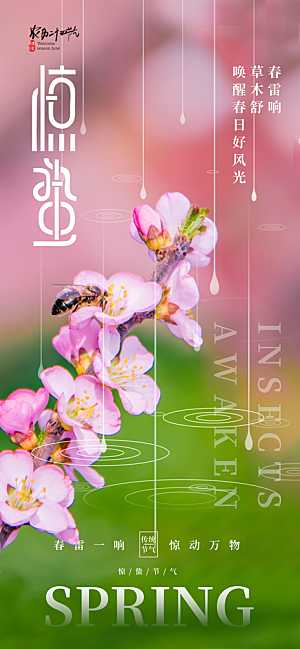 二十四节气惊蛰海报