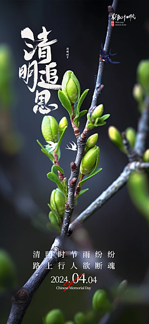 创意清明节宣传海报