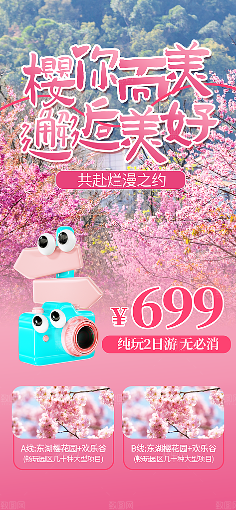春日赏花春暖花开旅游踏青樱花季油菜花海报
