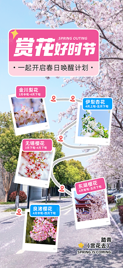春日赏花春暖花开旅游踏青樱花季油菜花海报