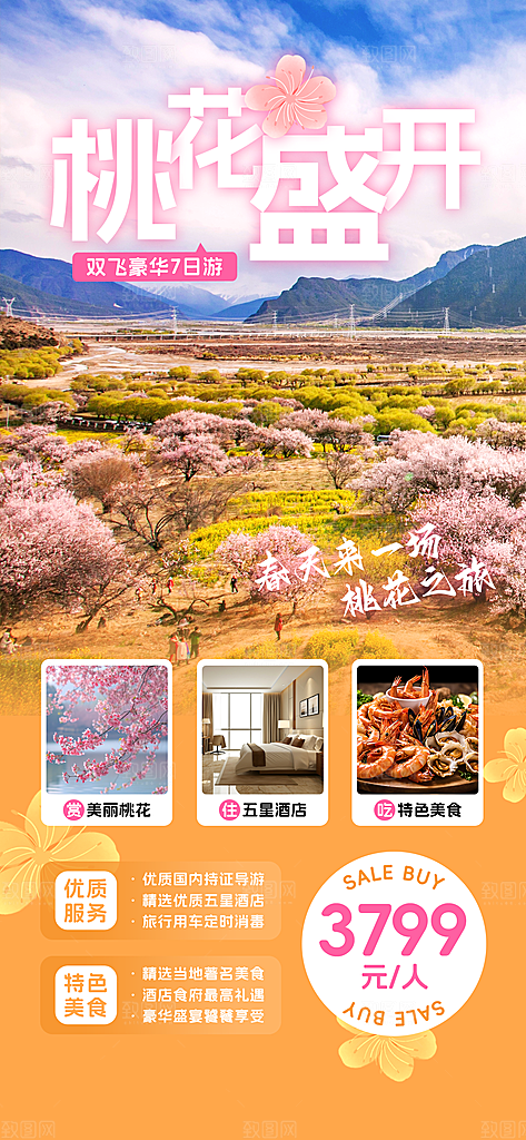 春日赏花春暖花开旅游踏青樱花季油菜花海报
