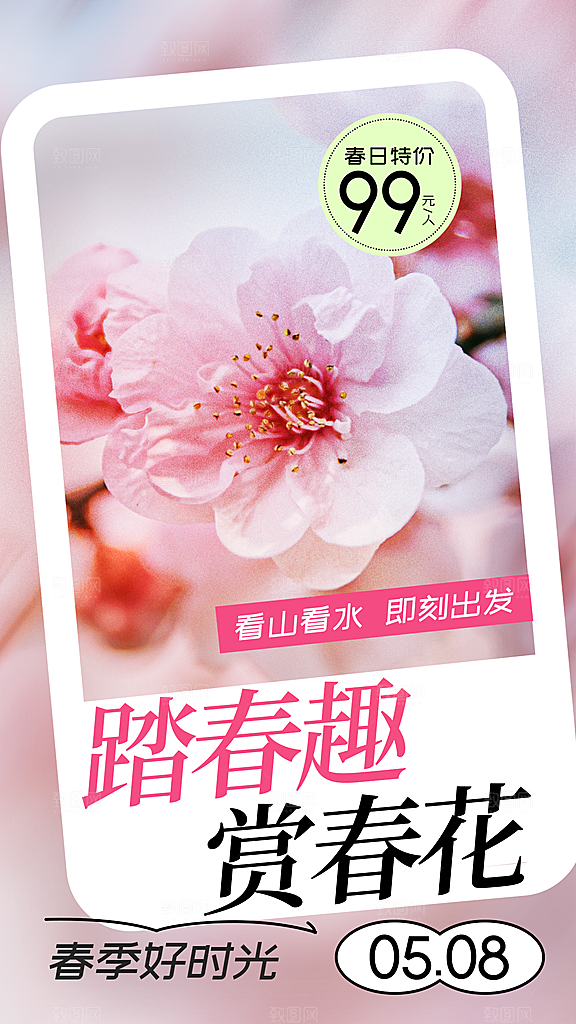 春日赏花春暖花开旅游踏青樱花季油菜花海报