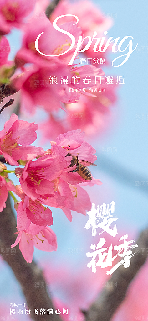春日赏花春暖花开旅游踏青樱花季油菜花海报