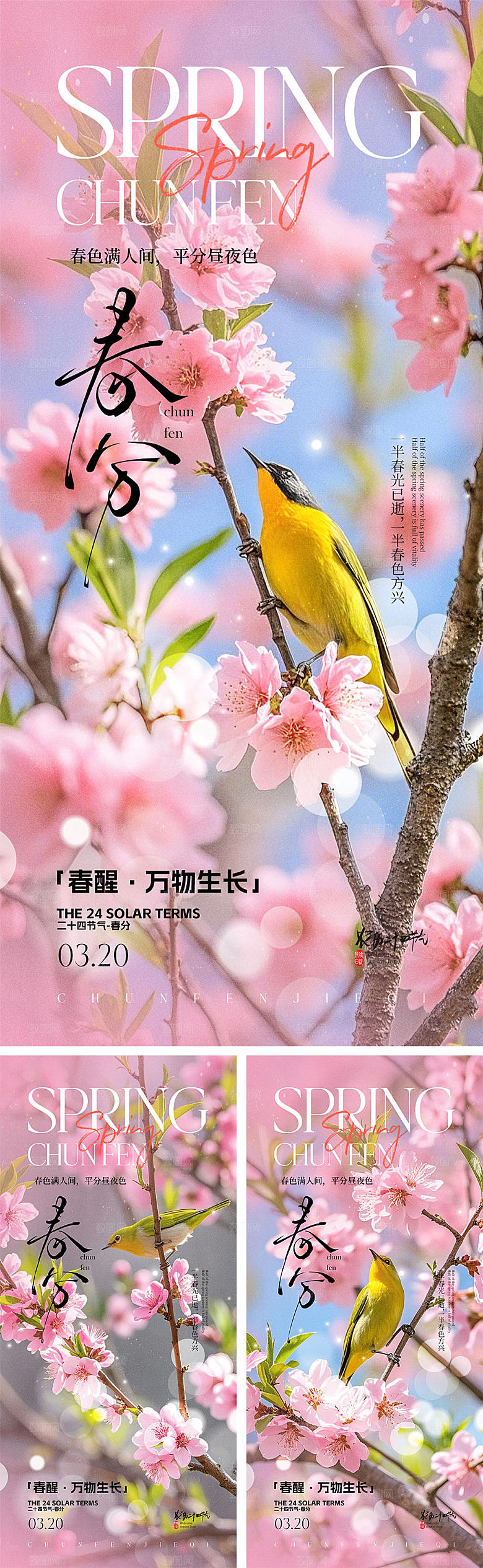 春分节气宣传海报