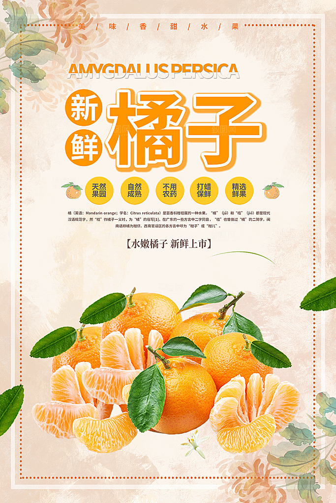 橘子海报设计素材