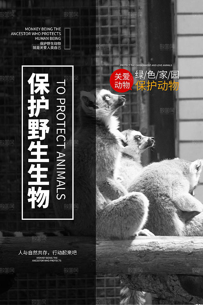 保护动物日野生珍稀动物保护日环保海报