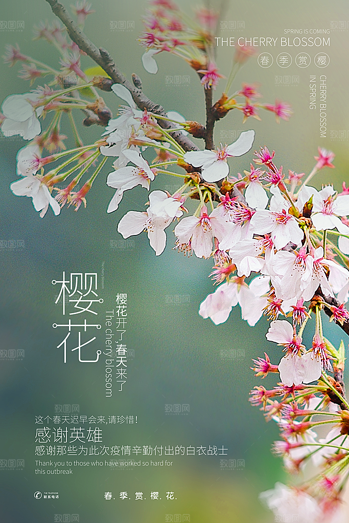 樱花节宣传海报展板设计