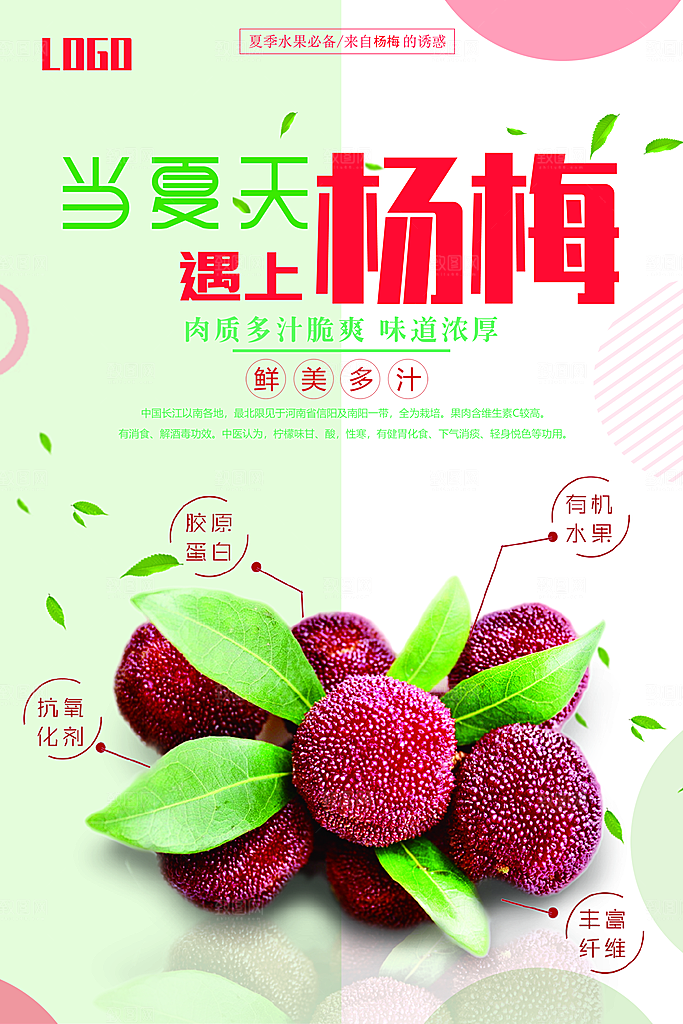 杨梅宣传海报设计