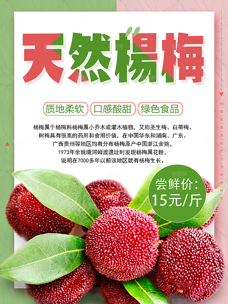 杨梅宣传海报设计