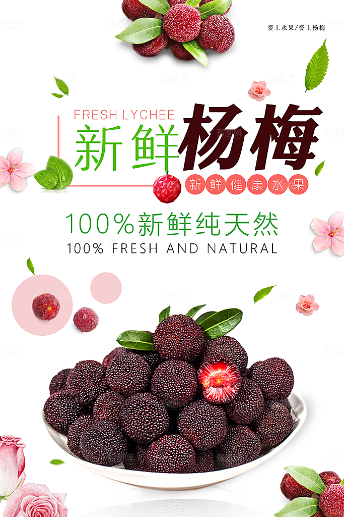 杨梅宣传海报设计素材