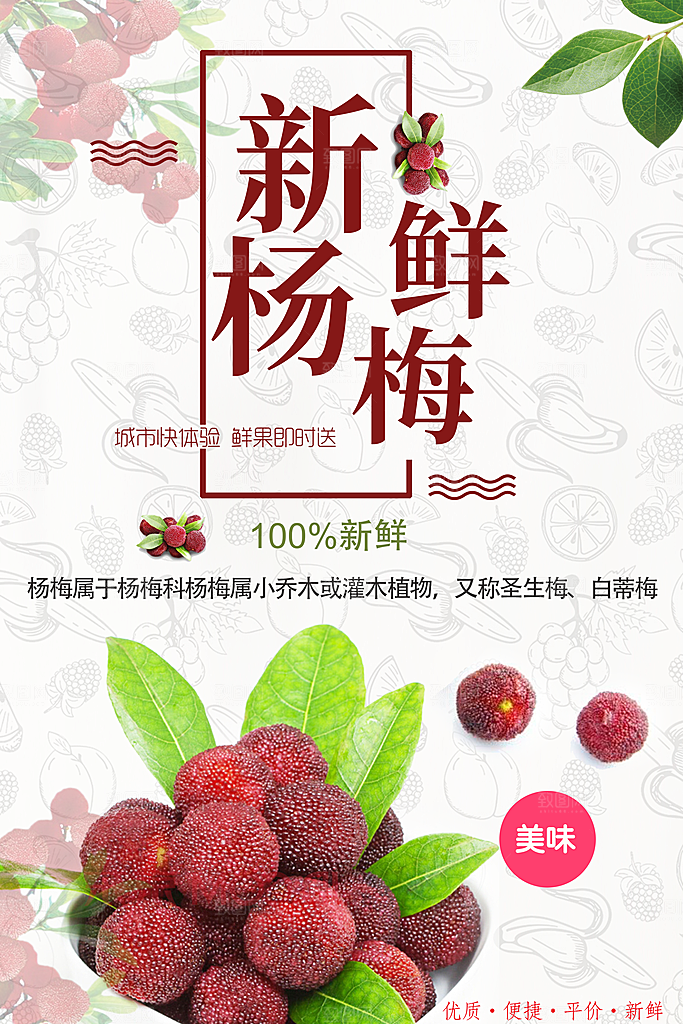 杨梅宣传海报设计素材