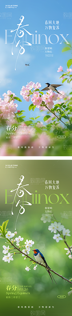 简约大气春分节气