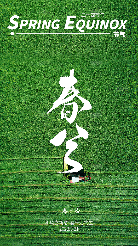 春分节日插画大气简约唯美节气海报