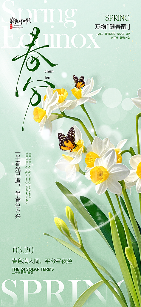 春分简约大气插画节气唯美节日海报