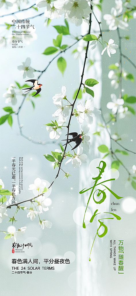 春分简约大气插画节气唯美节日海报