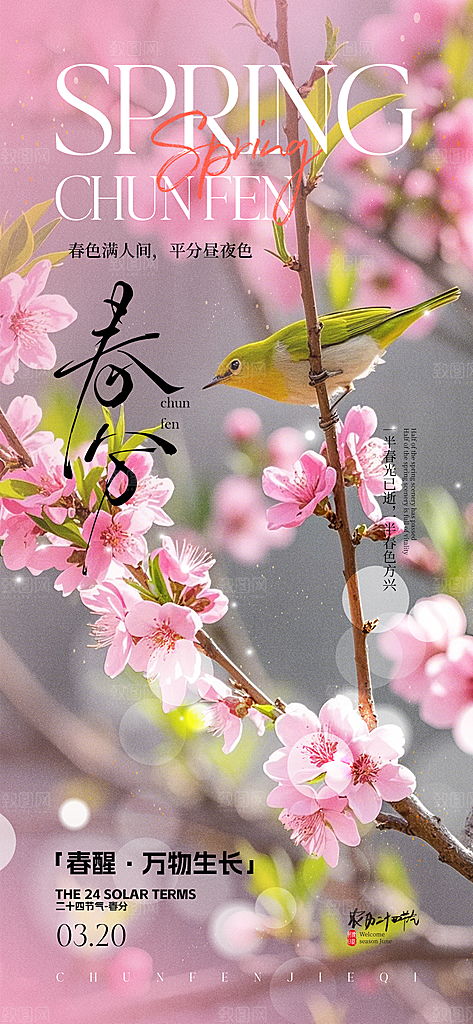 春分简约大气插画节气唯美节日海报