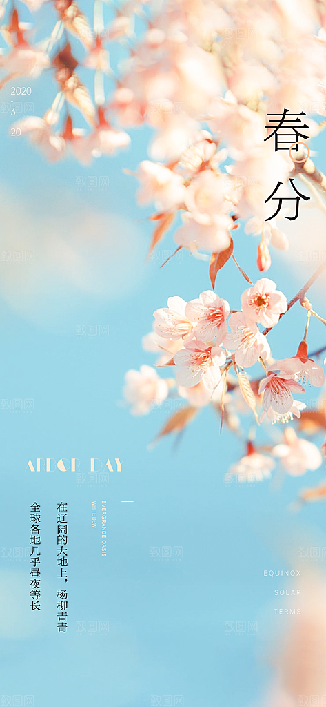 春分简约大气插画节气唯美节日海报