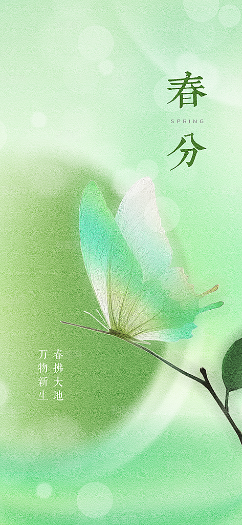 春分插画大气节日唯美简约节气海报