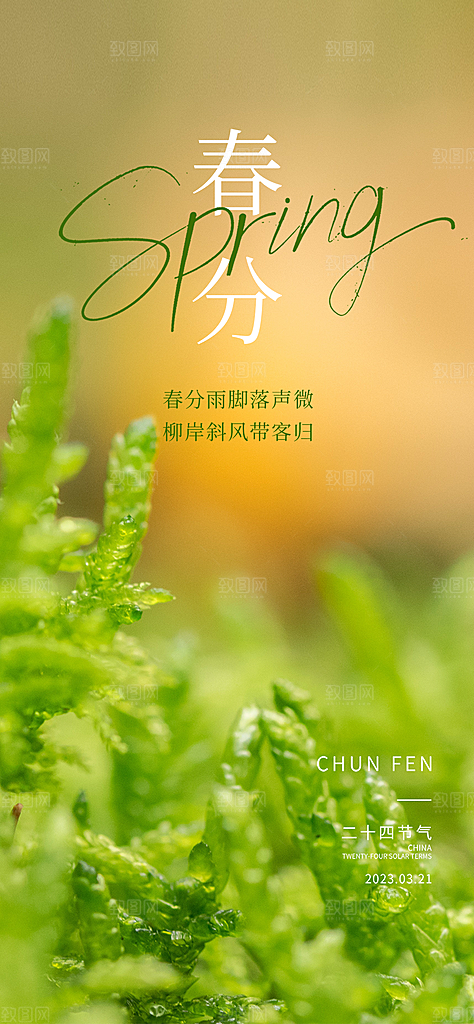 春分节气节日唯美插画简约大气海报
