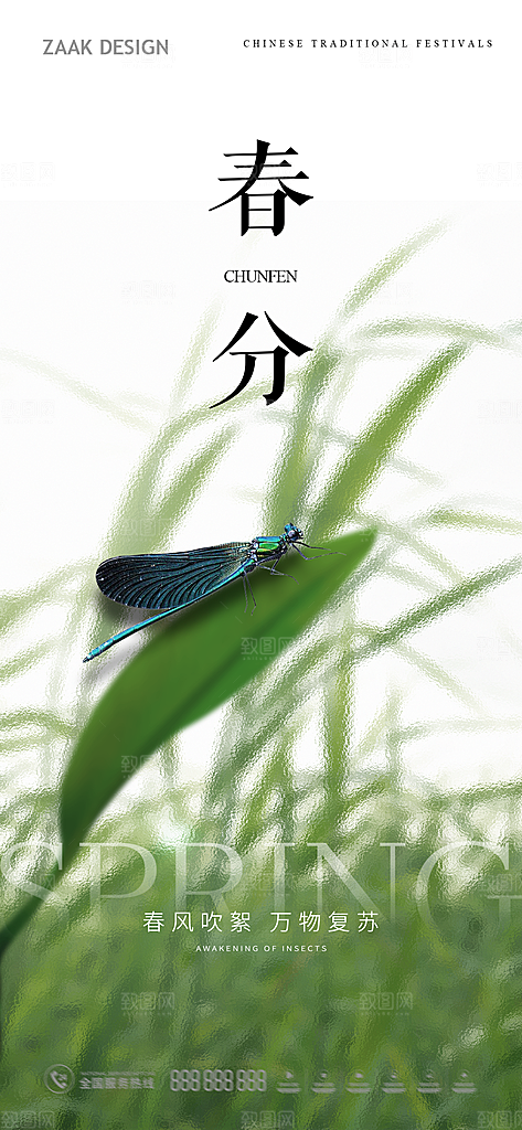 春分插画唯美节日大气节气简约海报