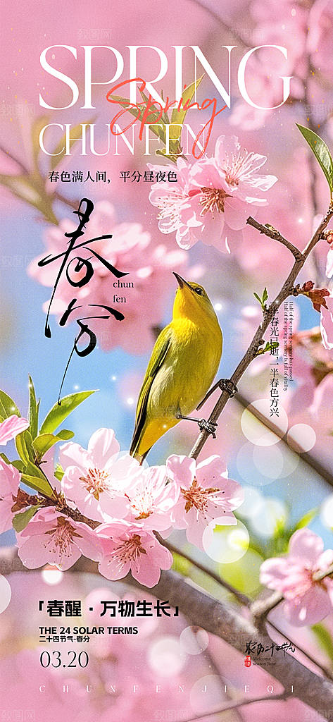 春分简约节日大气唯美插画节气海报