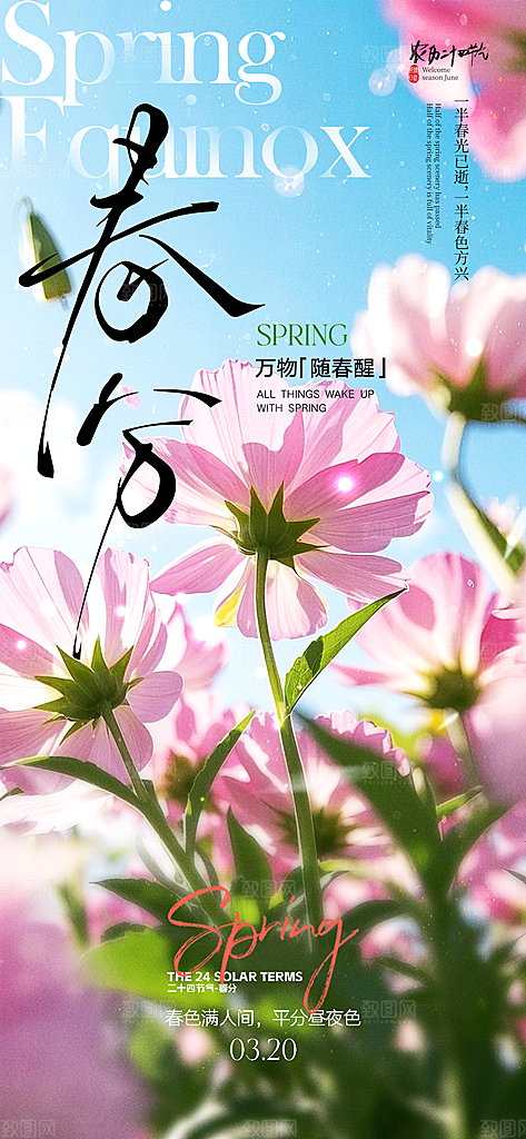春分节气插画大气唯美简约节日海报