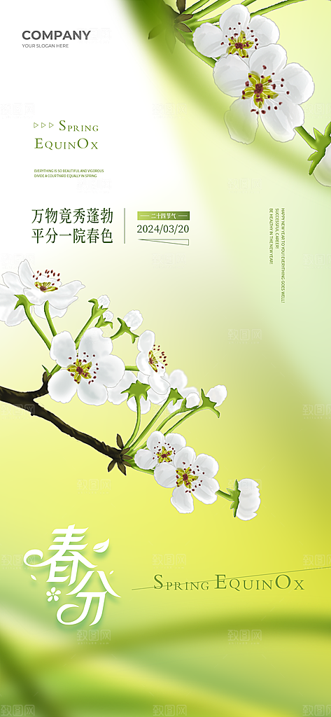 春分节气简约大气海报
