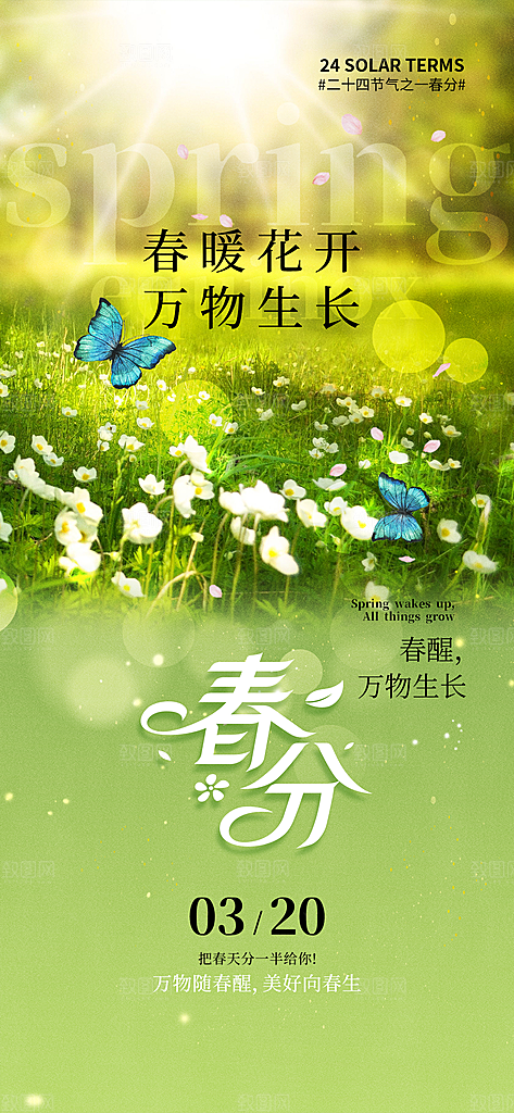 春分节气简约大气海报