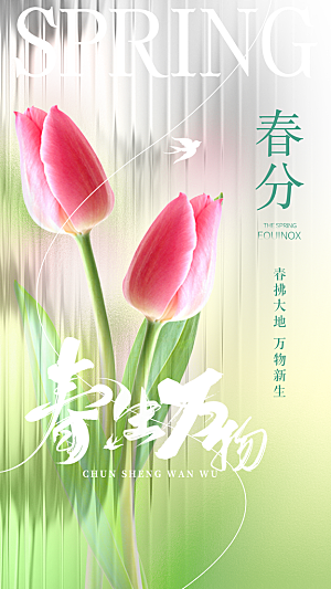 简约大气春分节气海报模板