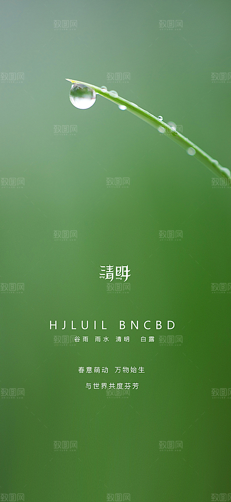 清明节宣传国风大气简约节日唯美海报