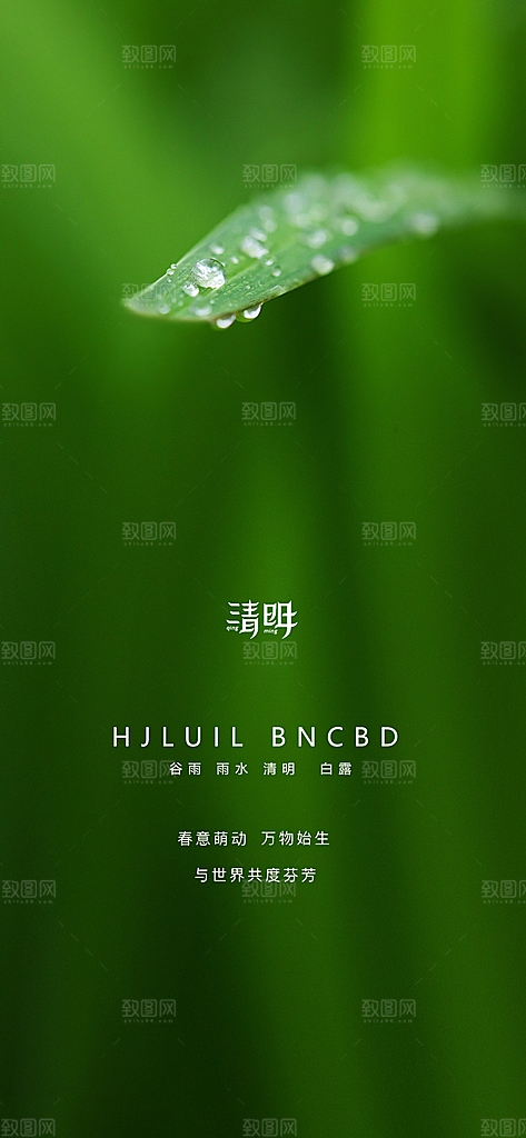 清明节宣传国风大气简约节日唯美海报