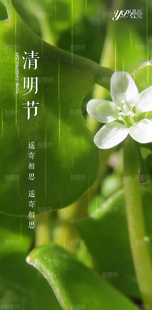清明节宣传国风大气简约节日唯美海报