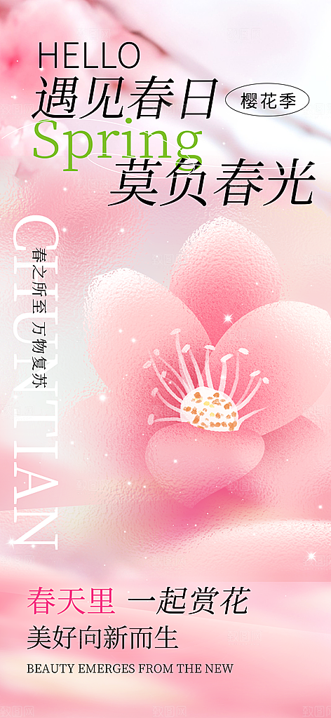 春天春季简约户外赏花踏春海报