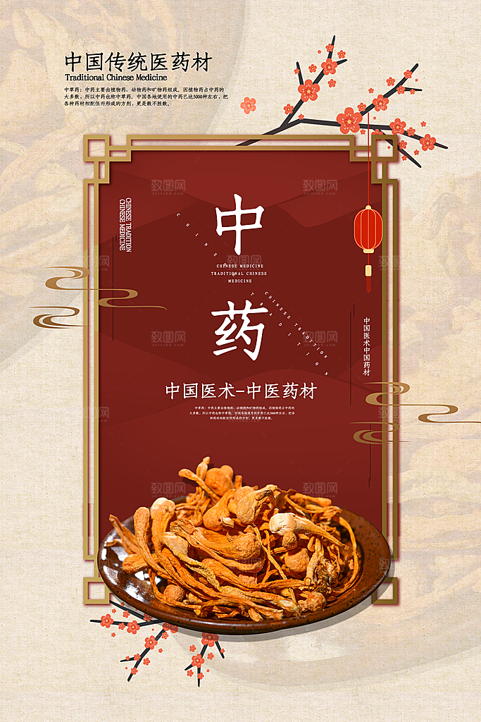 中国医师节致敬中医公益海报