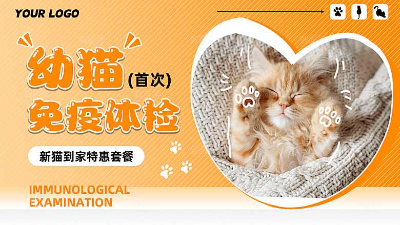 宠物宣传海报展板设计素材