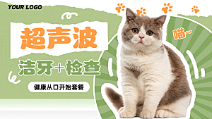 宠物宣传海报展板设计素材