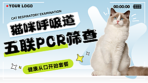 宠物宣传海报展板设计素材