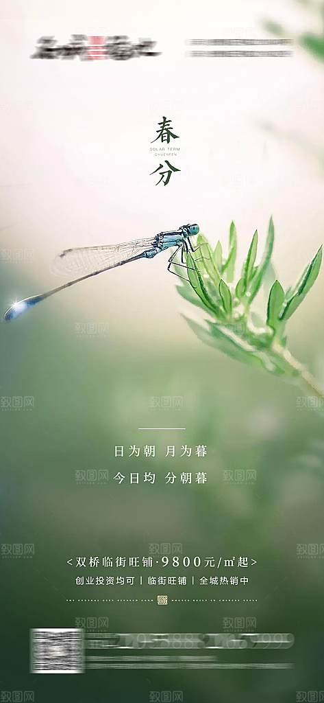二十四节气春分海报