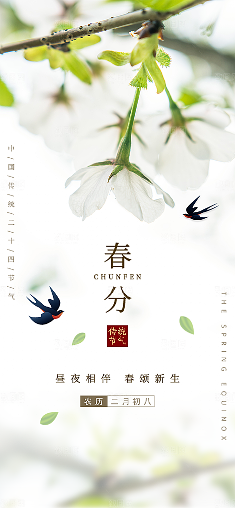 二十四节气春分海报