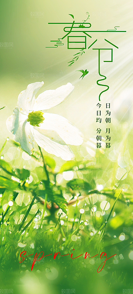 二十四节气春分海报