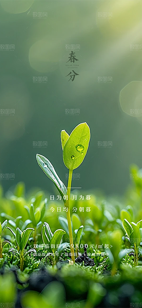 二十四节气春分海报