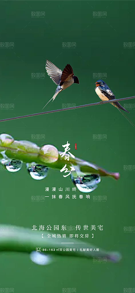 二十四节气春分海报