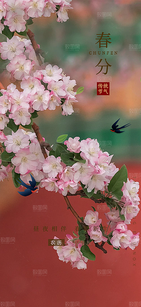 二十四节气春分海报