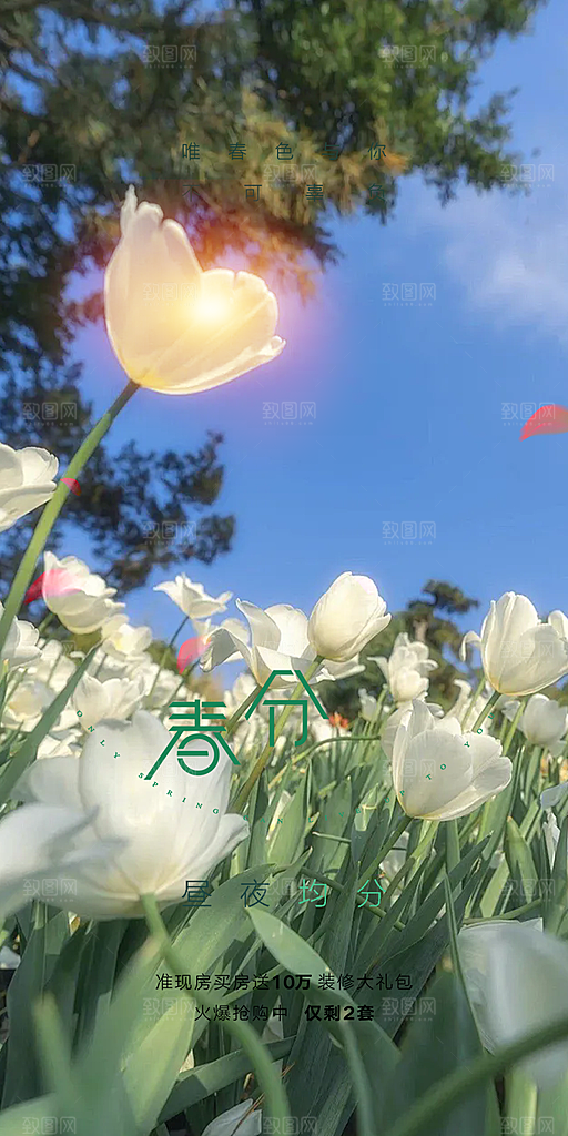 二十四节气春分海报