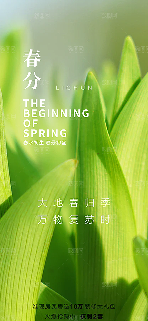 传统二十四节气春分海报