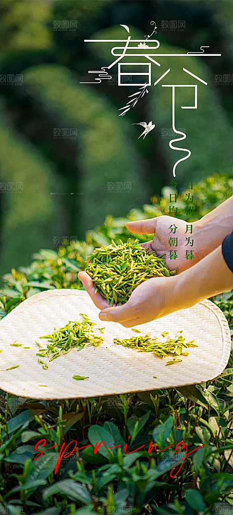 传统二十四节气春分海报