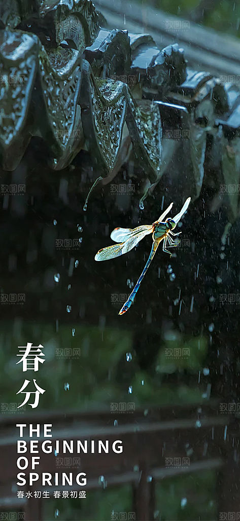 传统二十四节气春分海报
