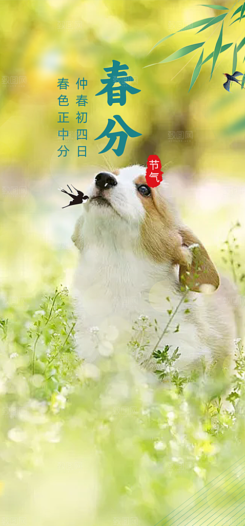 传统节气春分海报