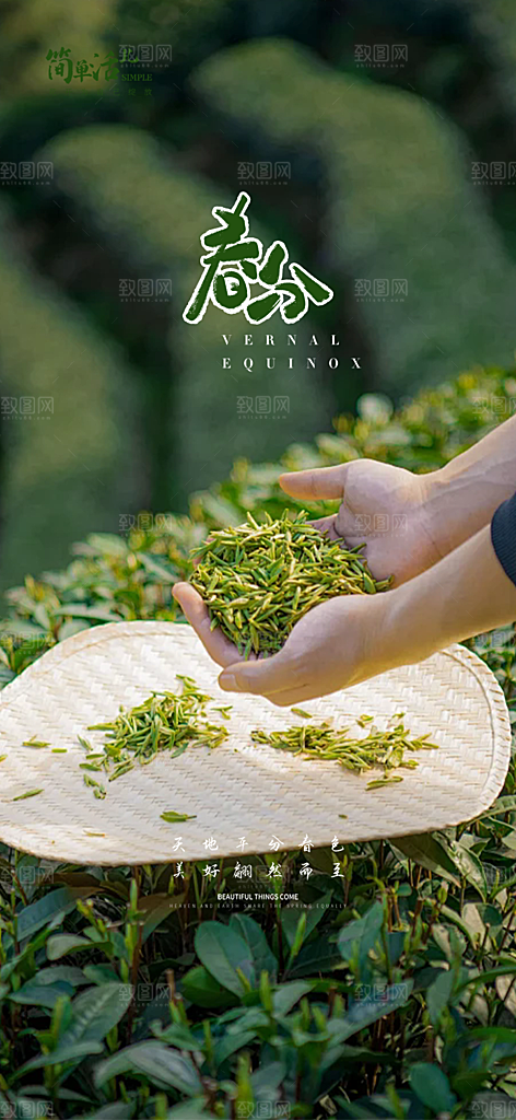 传统二十四节气春分海报