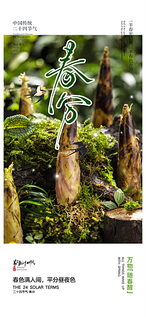 传统二十四节气春分海报
